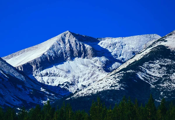 山雪の冬の自然のピーク 美しい背景 青い空の背景の上 アルプスの景観 樹木限界線 — ストック写真