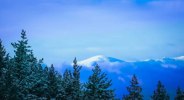 Wunderschöne Neblige Mystische Berge Nebelschwaden Mystischen Kiefernwald Morgen Europa Geheimnisvolle — Stockfoto