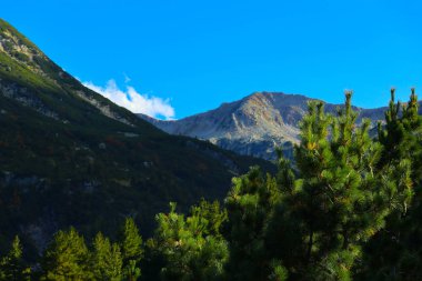 Güzel manzara mavi gökyüzü arka plan üzerinde yüksek yeşil dağlar tepeler üzerinde. Alp dağ cennet manzara, hiking insan yok.
