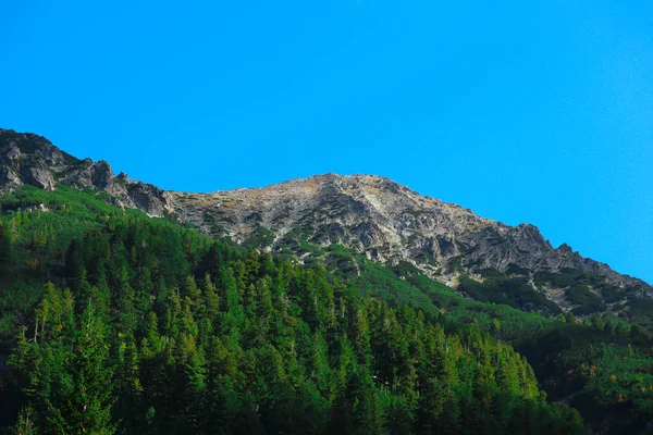 Вид Высокие Зеленые Горы Голубом Фоне Неба Пейзаж Походов Горы — стоковое фото