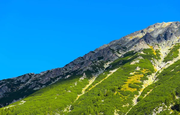 Prachtig Uitzicht Hoge Toppen Van Groene Bergen Blauwe Hemelachtergrond Alpine — Stockfoto