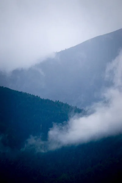 Foto Mooi Afgebeeld Een Mistige Mystic Bergen Mist Wolken Pine — Stockfoto