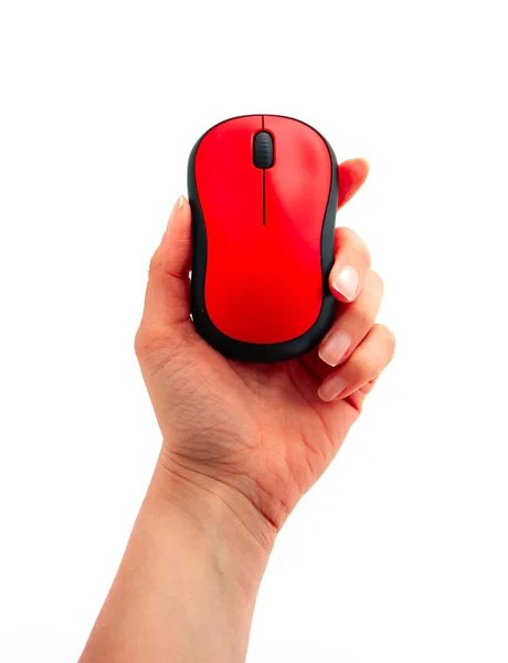 Рука Держащая Красную Беспроводную Компьютерную Мышь Изолированную Белом Фоне Лицензионные Стоковые Изображения