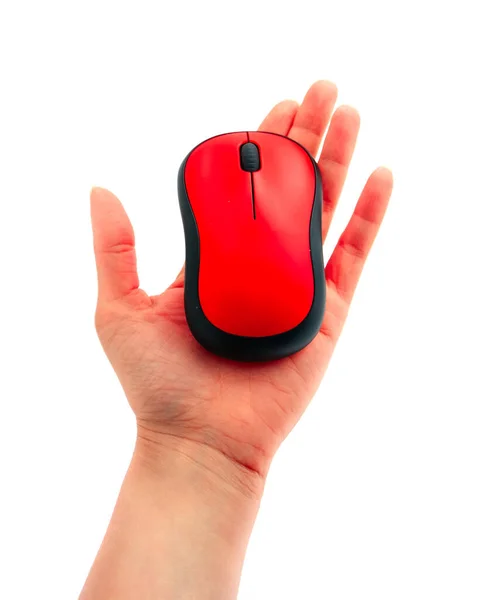 Una Mano Che Tiene Mouse Rosso Senza Fili Isolato Sfondo Foto Stock