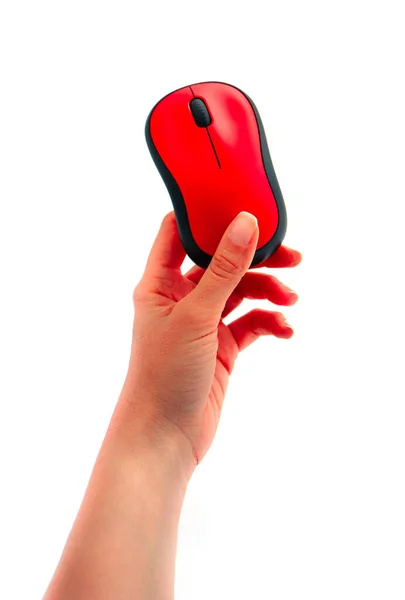 白い背景に隔離された赤い無線コンピュータのマウスを保持する手 ロイヤリティフリーのストック画像
