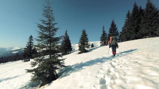 Turist bir grup karla kaplı dağlara yolculuk — Stok video