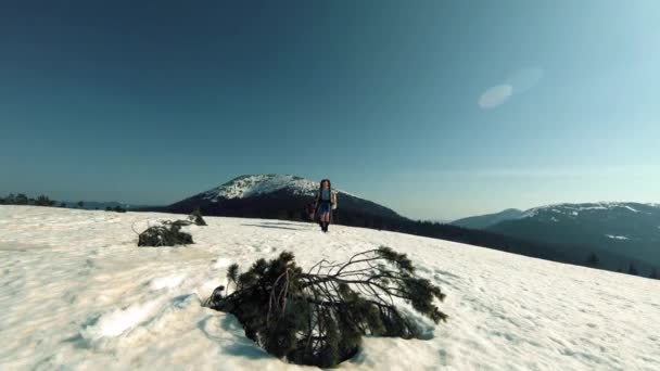 Een groep toeristen reizen door de besneeuwde bergen — Stockvideo