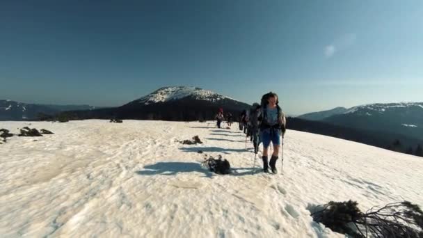 Grupa turystów podróżuje przez ośnieżone góry — Wideo stockowe
