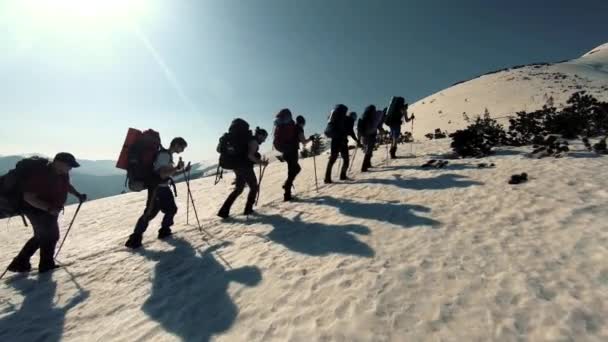 Un groupe de touristes voyage à travers les montagnes enneigées — Video