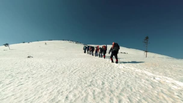 Een groep toeristen reizen door de besneeuwde bergen — Stockvideo