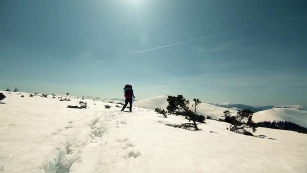 Un gruppo di turisti viaggia tra le montagne innevate — Video Stock