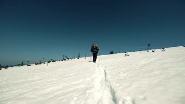 Een groep toeristen reizen door de besneeuwde bergen — Stockvideo