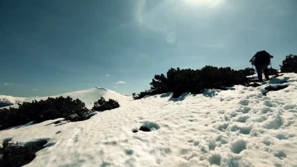 Um grupo de turistas viaja pelas montanhas cobertas de neve — Vídeo de Stock