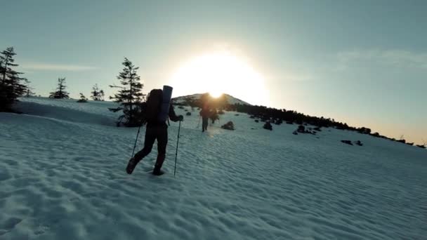 Turist bir grup karla kaplı dağlara yolculuk — Stok video