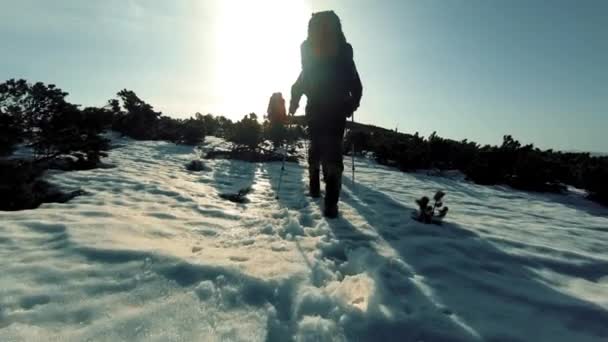 En grupp turister färdas genom snöklädda bergen — Stockvideo