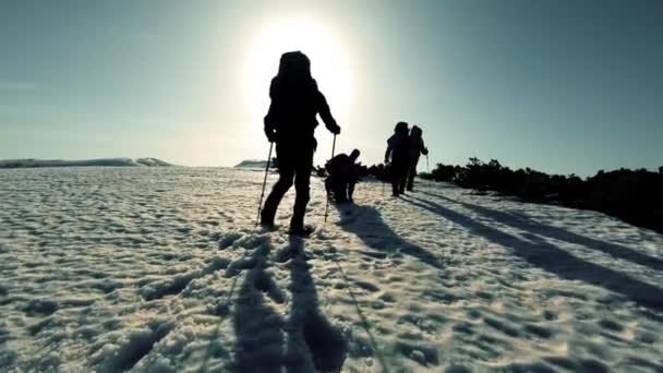 Um grupo de turistas viaja pelas montanhas cobertas de neve — Vídeo de Stock