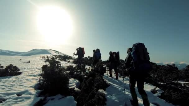 Un gruppo di turisti viaggia tra le montagne innevate — Video Stock