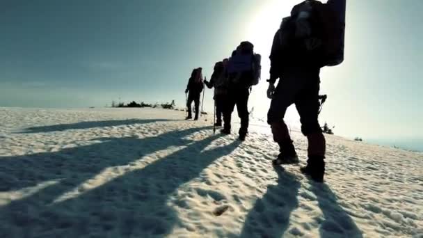 Skupina turistů cestuje přes zasněžené hory — Stock video