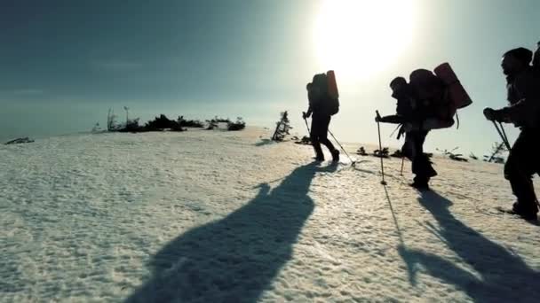 Un groupe de touristes voyage à travers les montagnes enneigées — Video