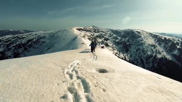 Een groep toeristen reizen door de besneeuwde bergen — Stockvideo