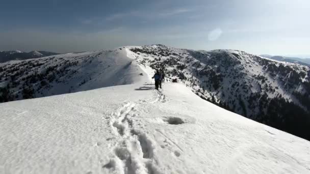 Un grup de turiști călătoresc prin munții acoperiți de zăpadă — Videoclip de stoc