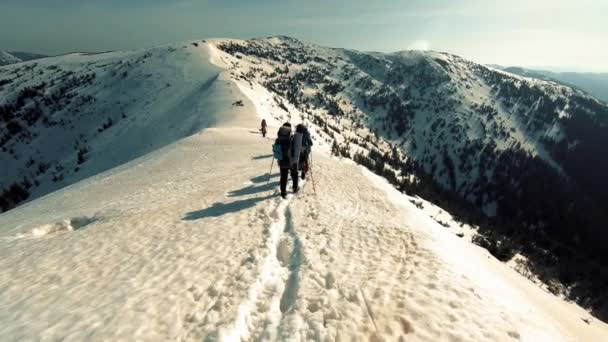 En grupp turister färdas genom snöklädda bergen — Stockvideo