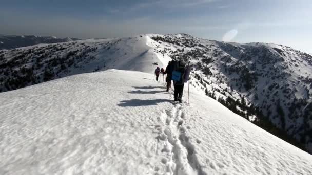 Un grupo de turistas viaja a través de las montañas nevadas — Vídeos de Stock