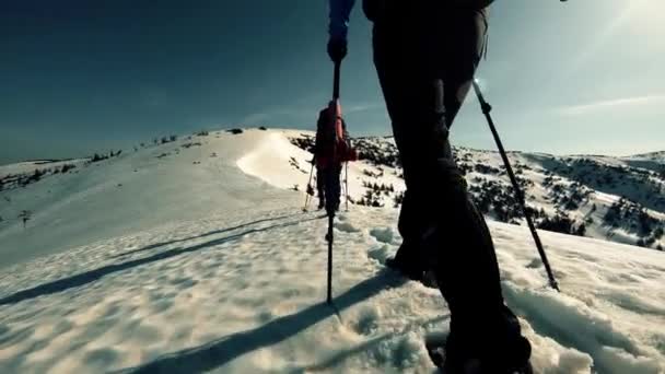 En grupp turister färdas genom snöklädda bergen — Stockvideo