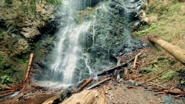Cachoeira na floresta entre as árvores — Vídeo de Stock