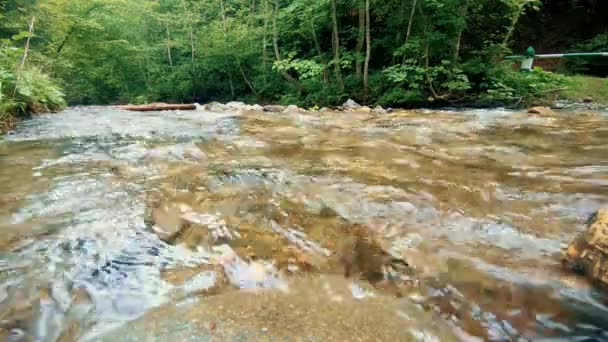 湍急的山河流 — 图库视频影像