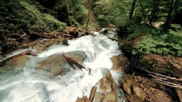 Бурлящая горная река — стоковое видео