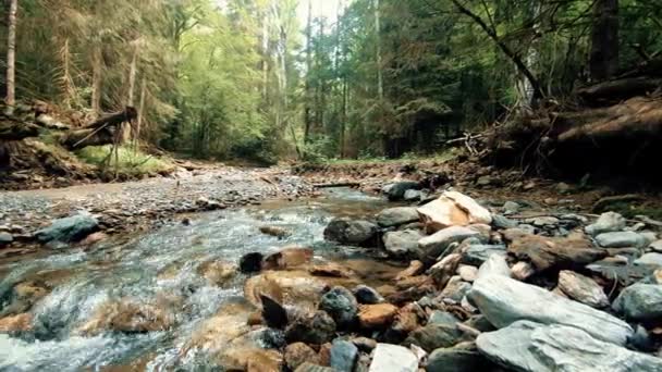 Río de montaña furioso — Vídeo de stock