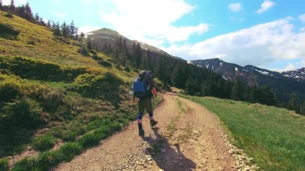 Мандрівник гуляє по дорозі в гори — стокове відео