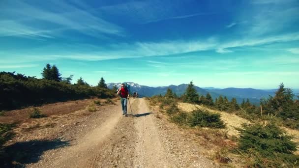 Reizigers wandelen langs een bergweg in de achtergrond van bergen — Stockvideo