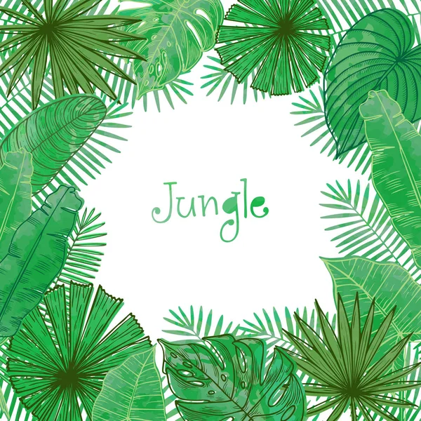 Cadre avec feuilles tropicales — Image vectorielle