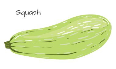 Kabak beyaz arka plan üzerinde izole. Sağlıklı beslenme.