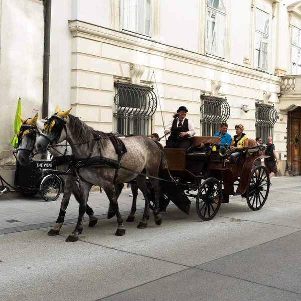 Carruaje tradicional conducido por caballos en las calles de Viena histórico — Foto de Stock