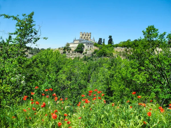 Segovia Våren Ljusröda Vallmo Blommor Panorama Och Grönt Gräs Historiska — Stockfoto