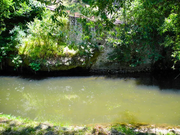 Озил Летом Сеговии Испания Парк Река — стоковое фото