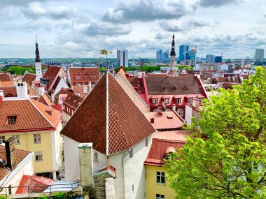Estonya, Old Tallinn 'in yaz manzarası. Turuncu kiremitli şehir merkezi. 