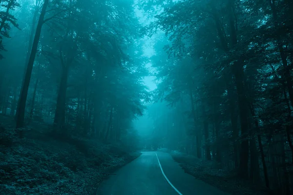 Mglista Droga Mglistym Bajkowym Ciemnym Lesie Przerażająca Koncepcja Halloween — Zdjęcie stockowe