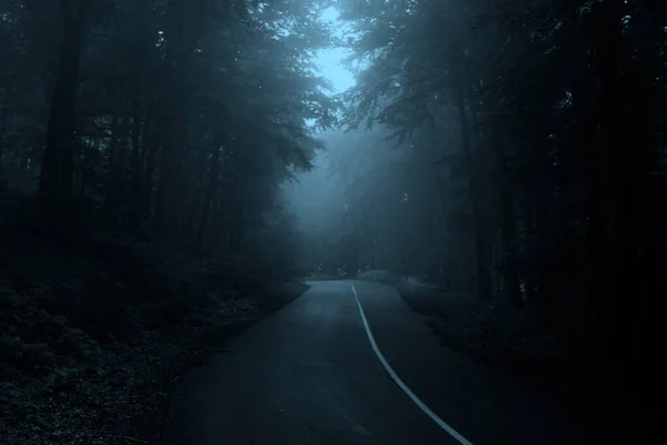Sisli peri masallarındaki sisli yol karanlık orman, korkunç cadılar bayramı konsepti.