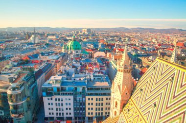 Stephansplatz ve Viyana merkezine panoramik manzara, bir sürü turuncu kiremit çatı. Güzel parlak renkler. Viyana, Avusturya. 