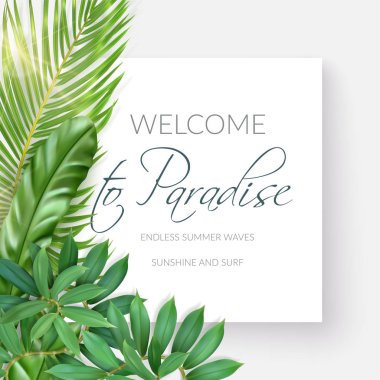 Beyaz afiş ile foto gerçekçi palmiye yaprakları ve el yazısı metin Hoşgeldiniz paradise, sonsuz yaz dalgalar, Güneş ve hafif bir arka plan üzerinde sörf için. Promosyonlar, dergi, reklam için poster.