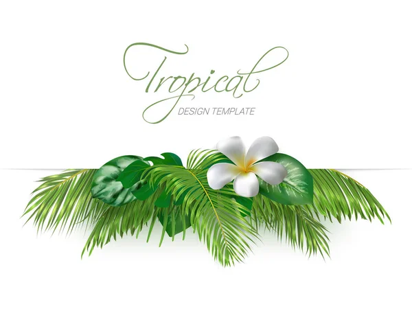 Summer tropical background with exotic palm leaves — Stock Vector