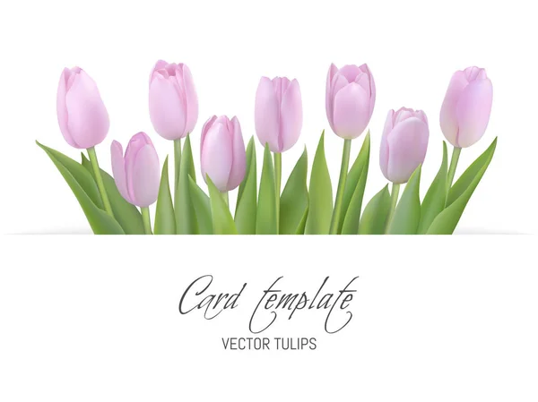 Card template with pink tulips — Stock Vector