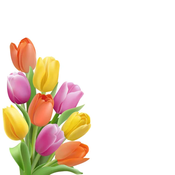 Plantilla de tarjeta con tulipanes coloridos — Vector de stock