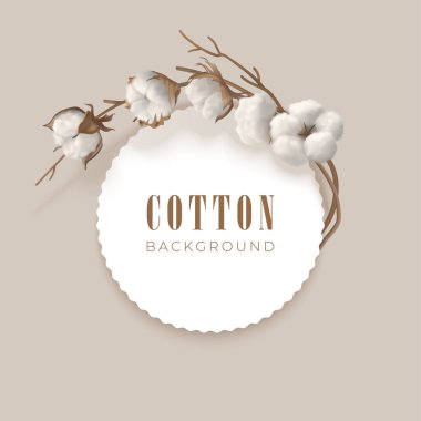 Yuvarlak çerçeve ve yerde hafif arkaplanda pamuklu yazılar var. Beyaz pamuk tomurcukları ve kahverengi dal. Vektör illüstrasyonu