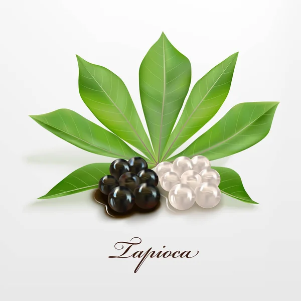 Tapioca black and white pearls — Stock Illustration Tapioca black and white pearls Vector Graphics