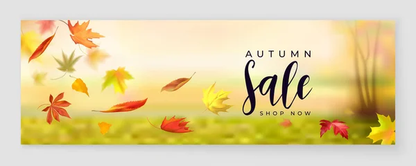 Fall season sale horizontal banner — Stock Vector
